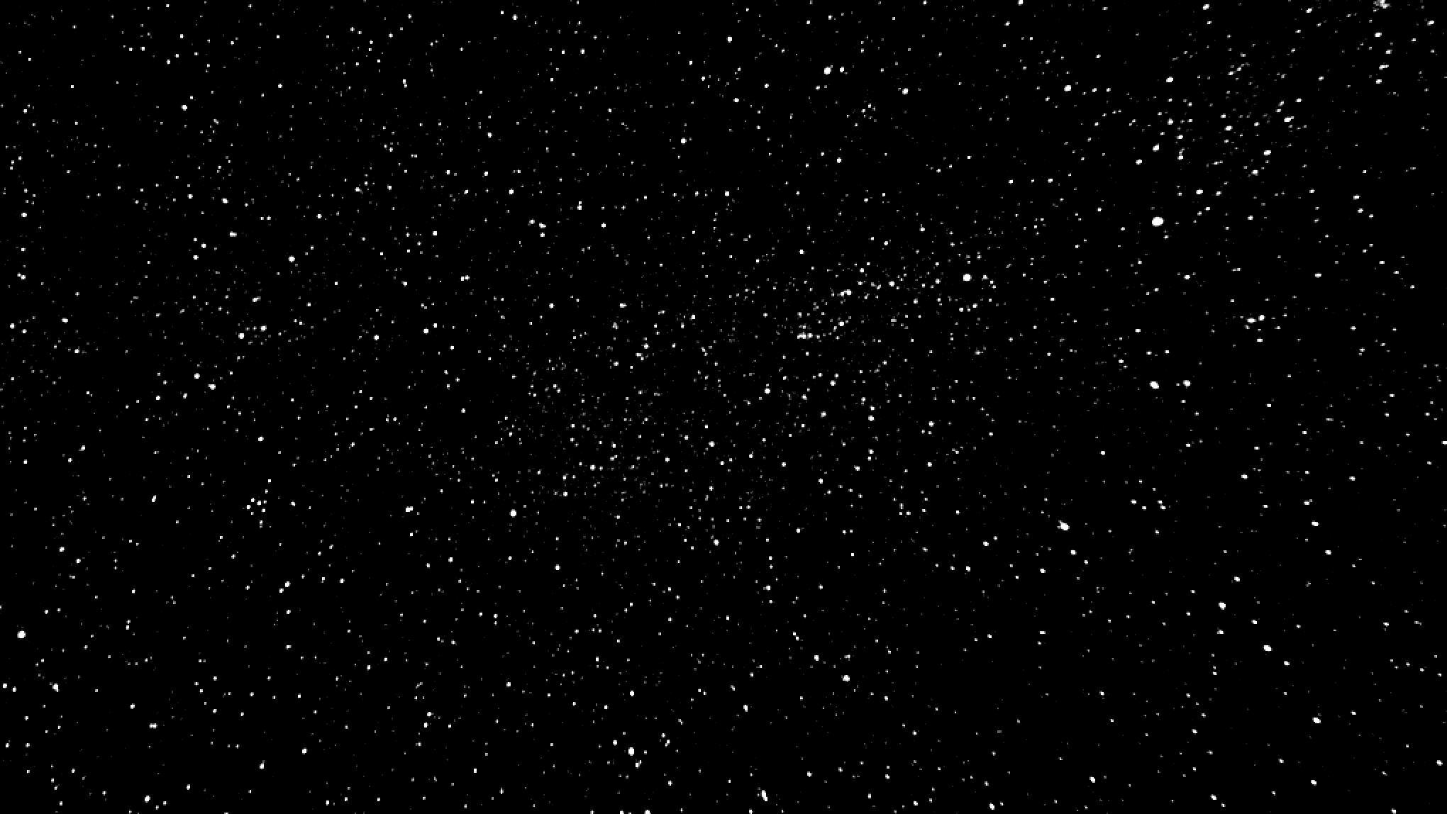 Monochrome Starsのバナー