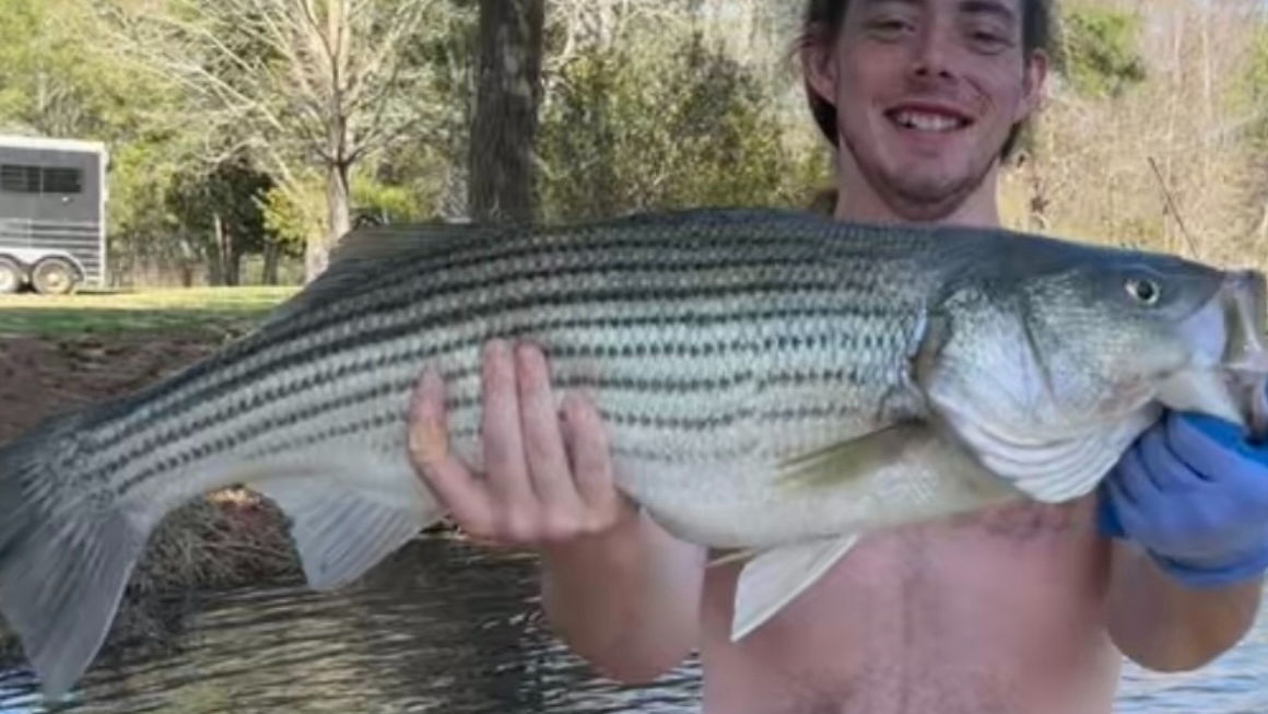 lion142's fishing extravaganzaのバナー