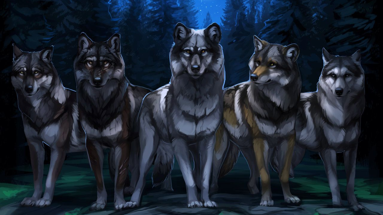 Wolf Pack