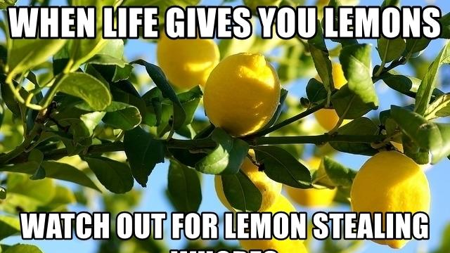 LEMONSTEALINGのバナー