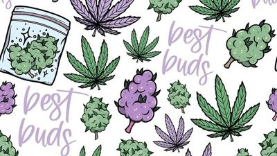 BluDreams
