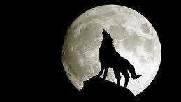 The wolf hellhounds familyのバナー