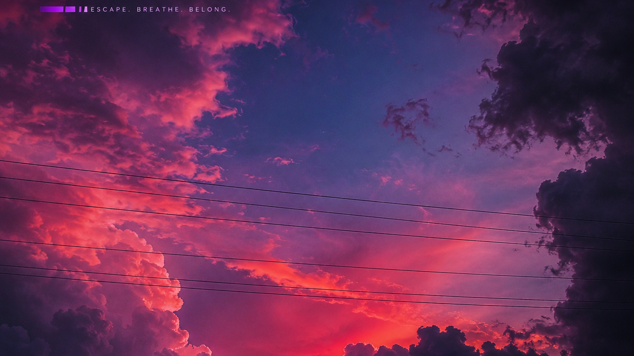 The Scarlett Sanctuaryのバナー
