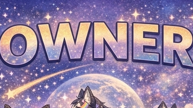 THE SKYDRIFTERS OWNERSのバナー
