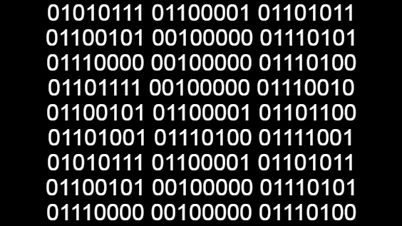 01000010 01101001 01101110 01100001 01110010 01111001
