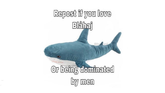 Shark squadのバナー