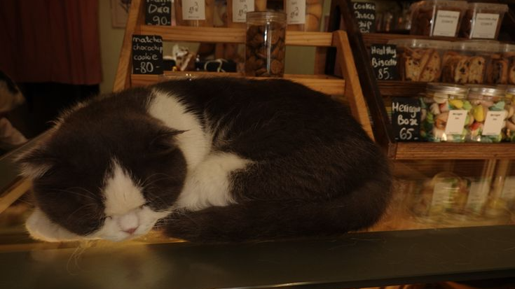 café de ray