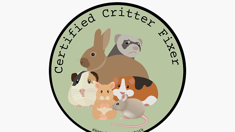 The quintessential crittersのバナー