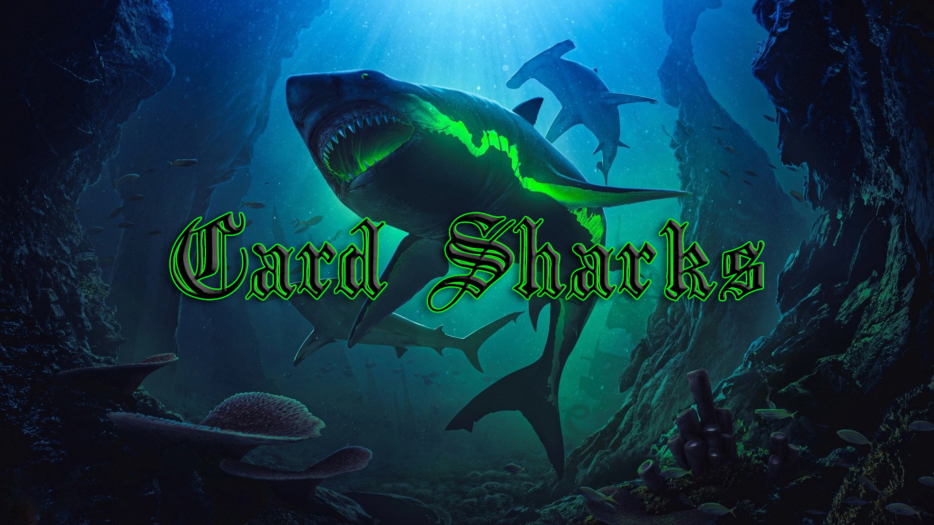 Card Sharksのバナー