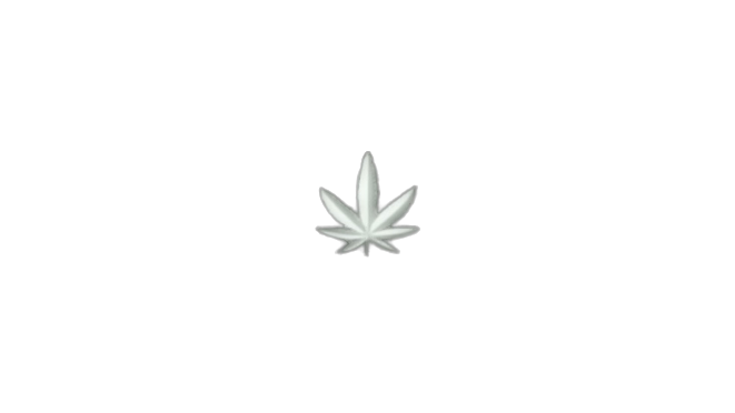 Stay High