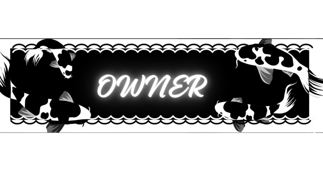 Starlight Veil Ownerのバナー