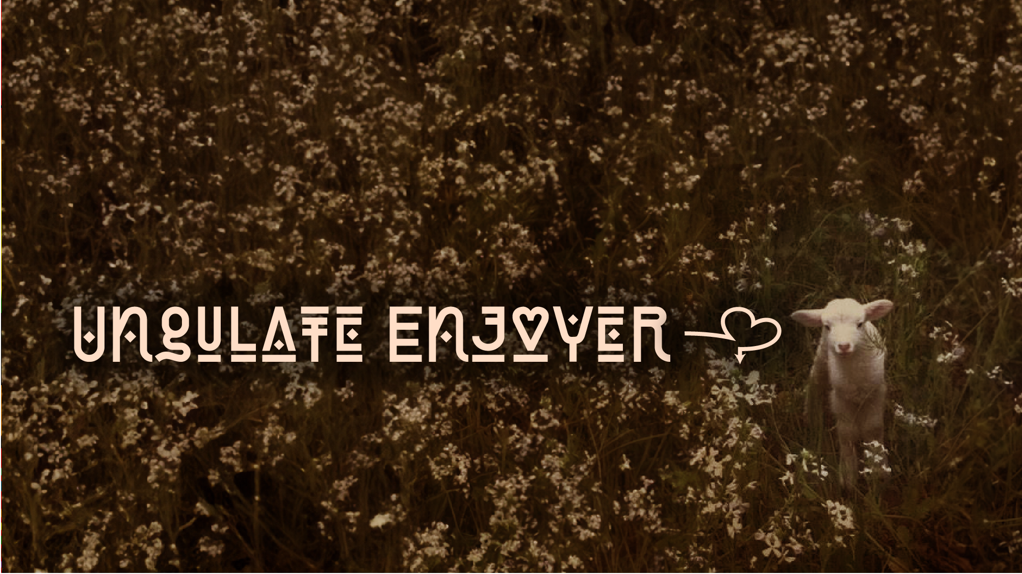 Ungulate Enjoyers