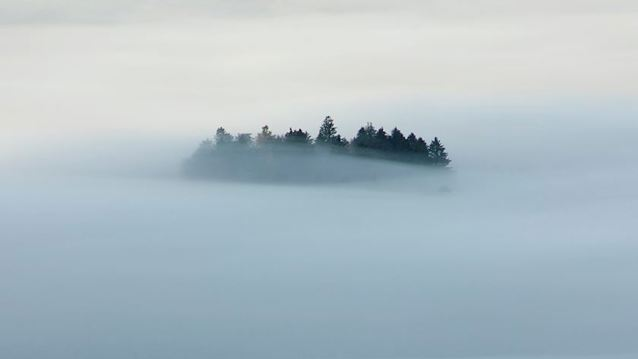 VampireIsland