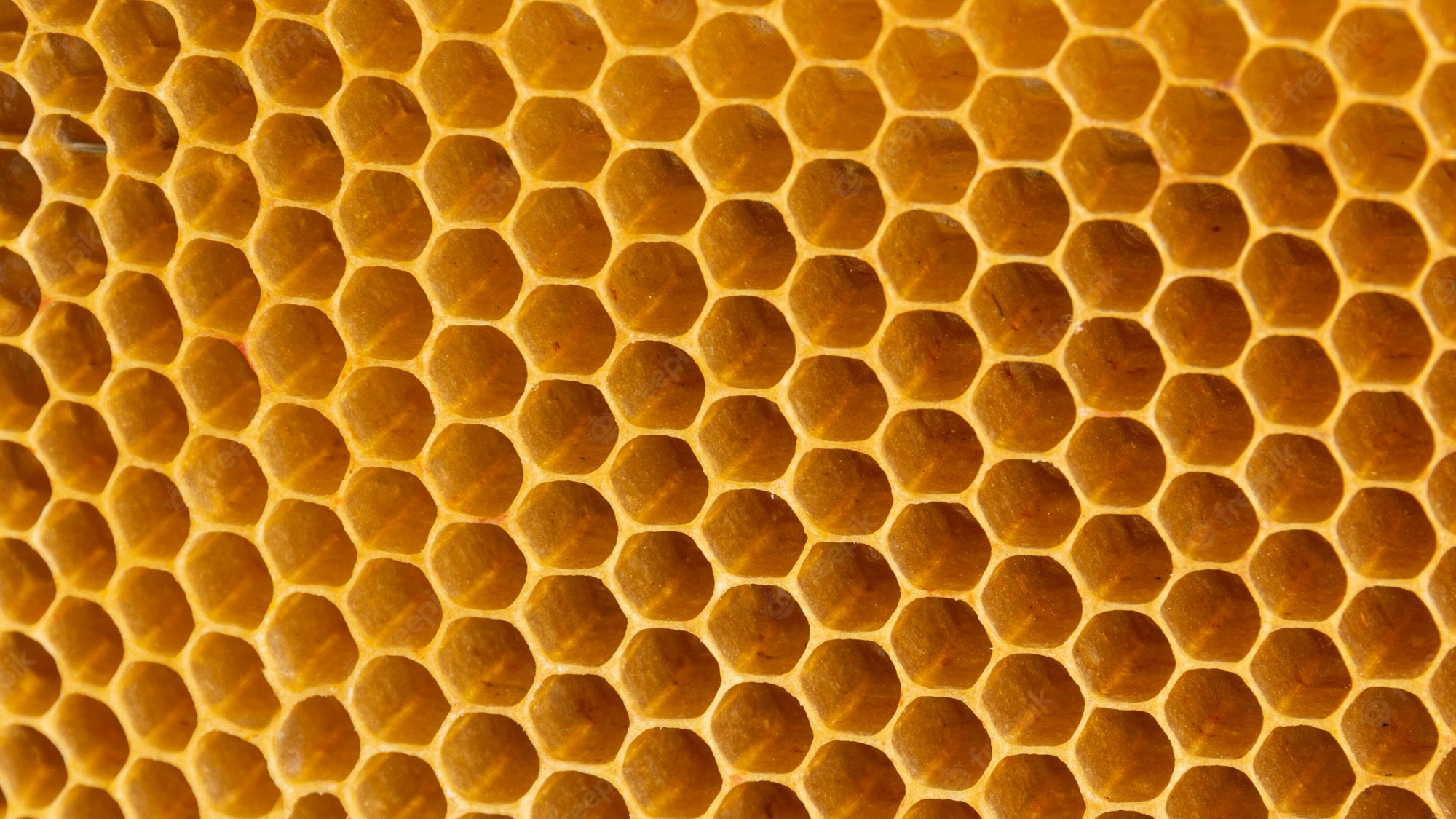 beehive