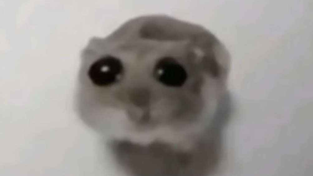 Testのバナー