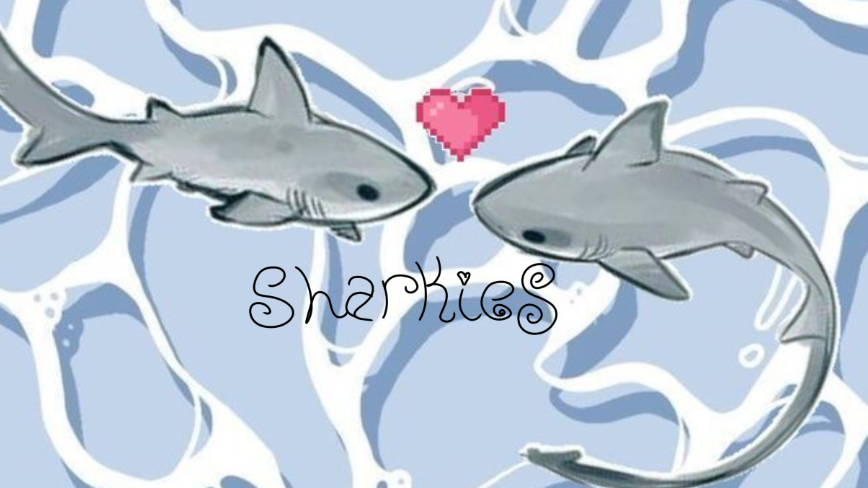 SHARKSのバナー