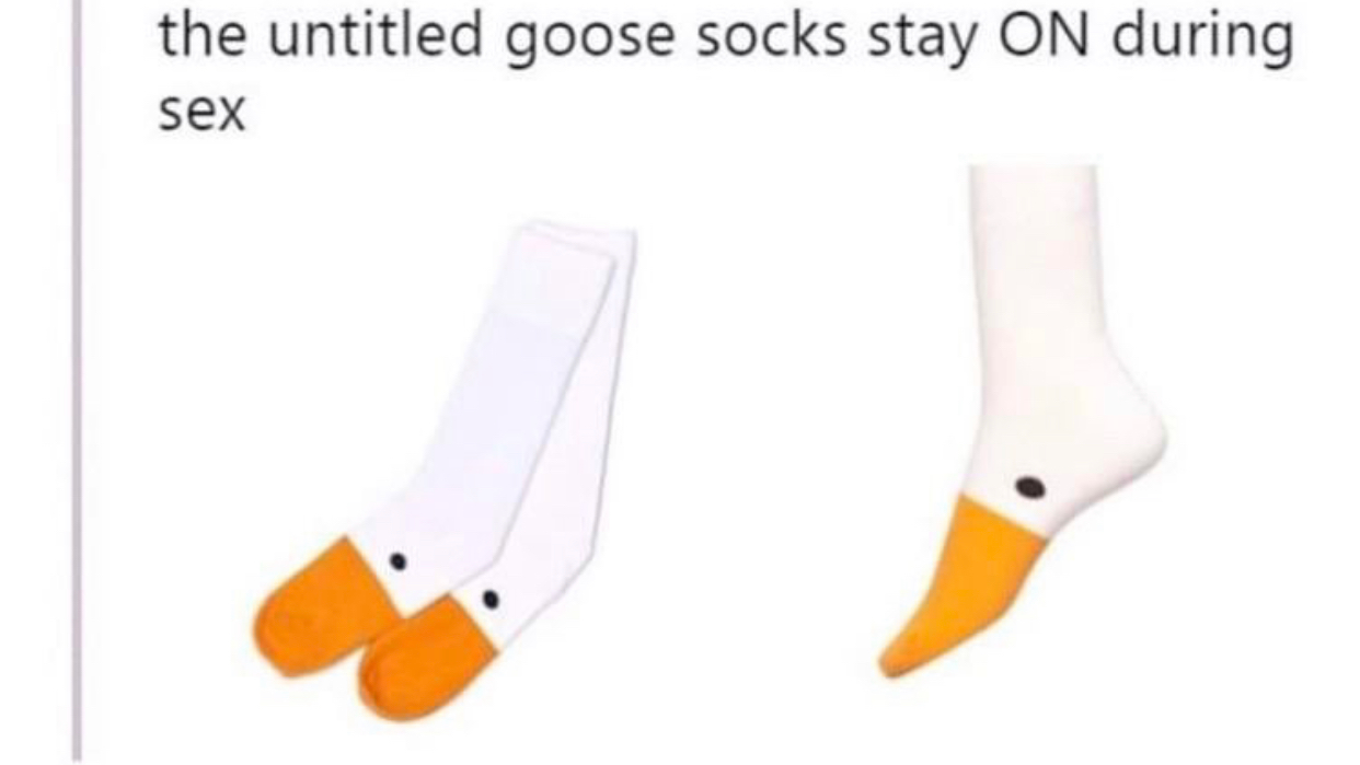 Untitled Goose Socks Gang