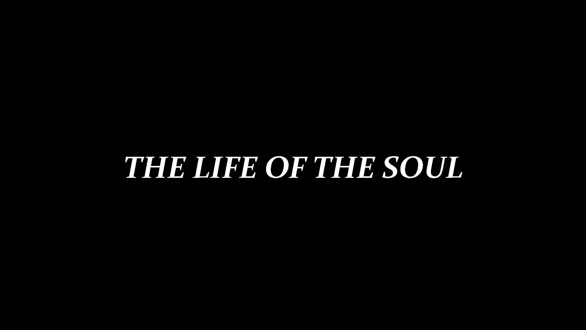 The Life Of The Soulのバナー