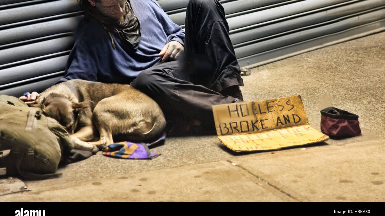 Broke and Hoelessのバナー