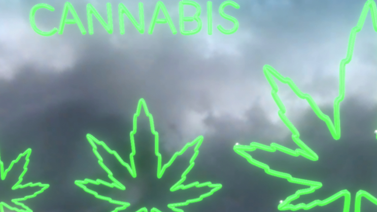 We love Weed NO MINORSのバナー