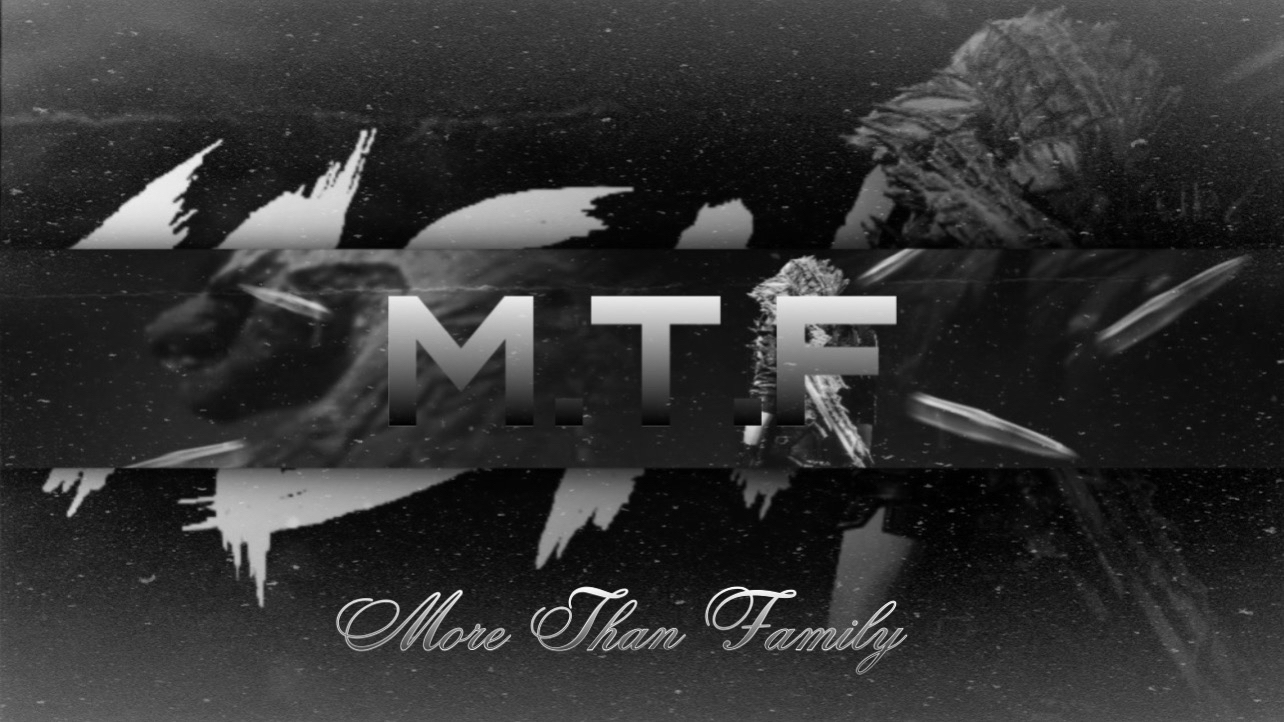 More Than Familyのバナー