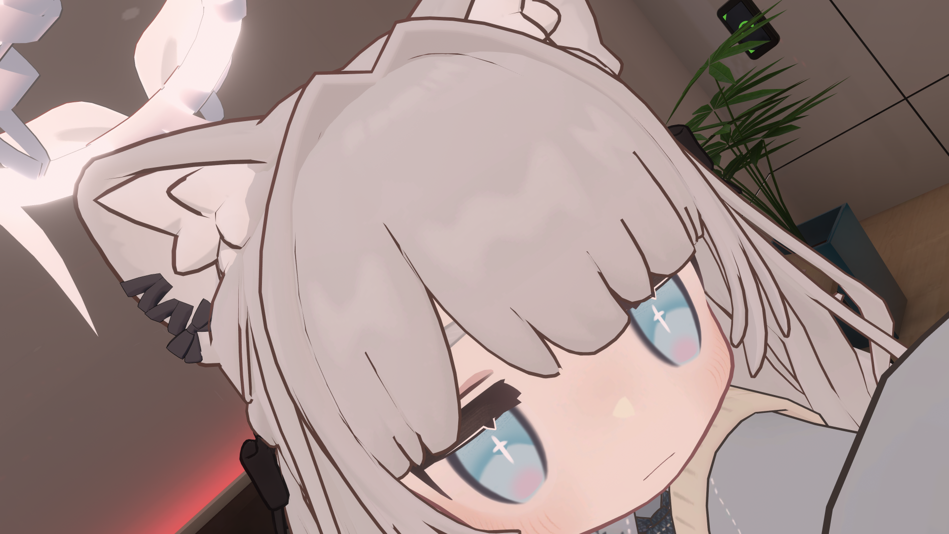 もふもふ同盟