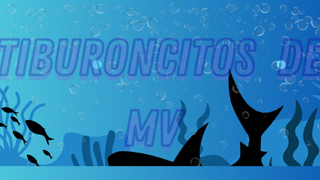 Tiburoncitos de Mv
