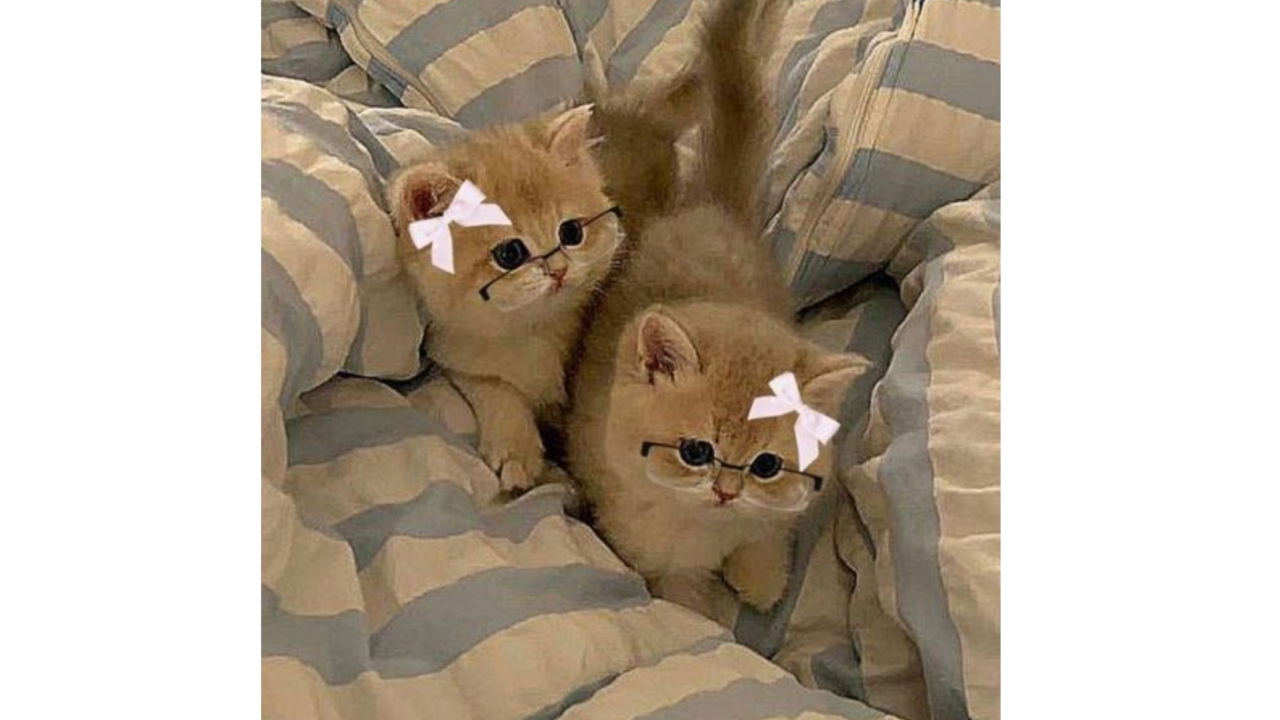 Hi my lovely