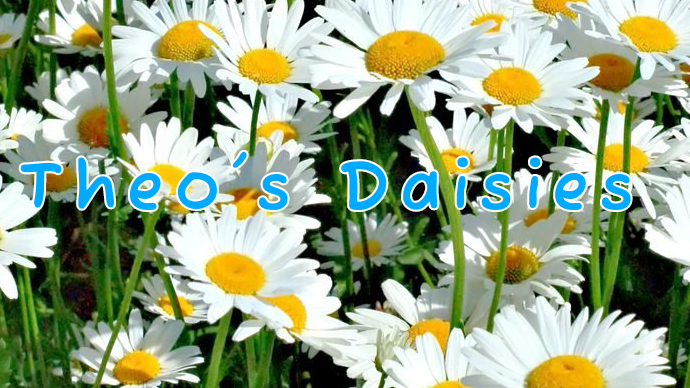 Theos Flowers