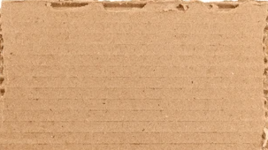 Thecardboardsquad