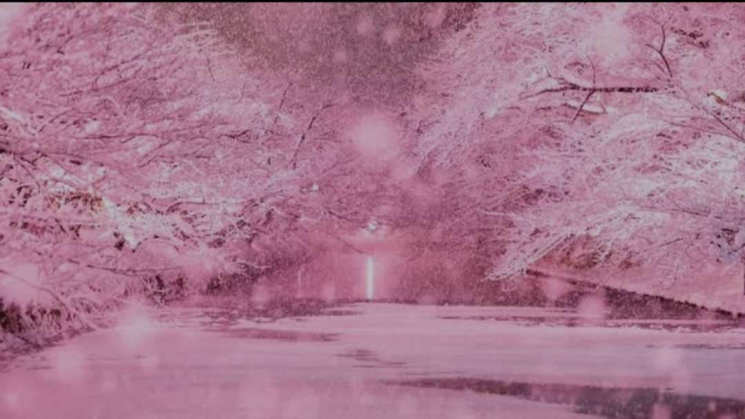 Sakura Blessings barのバナー
