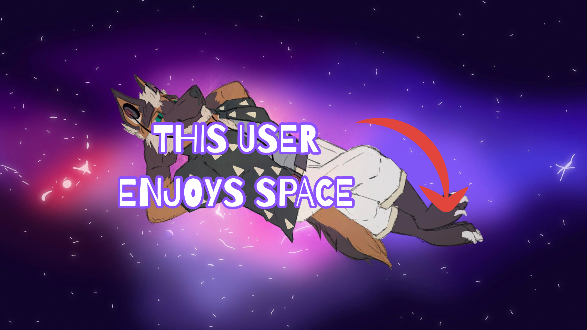SpaceFursのバナー