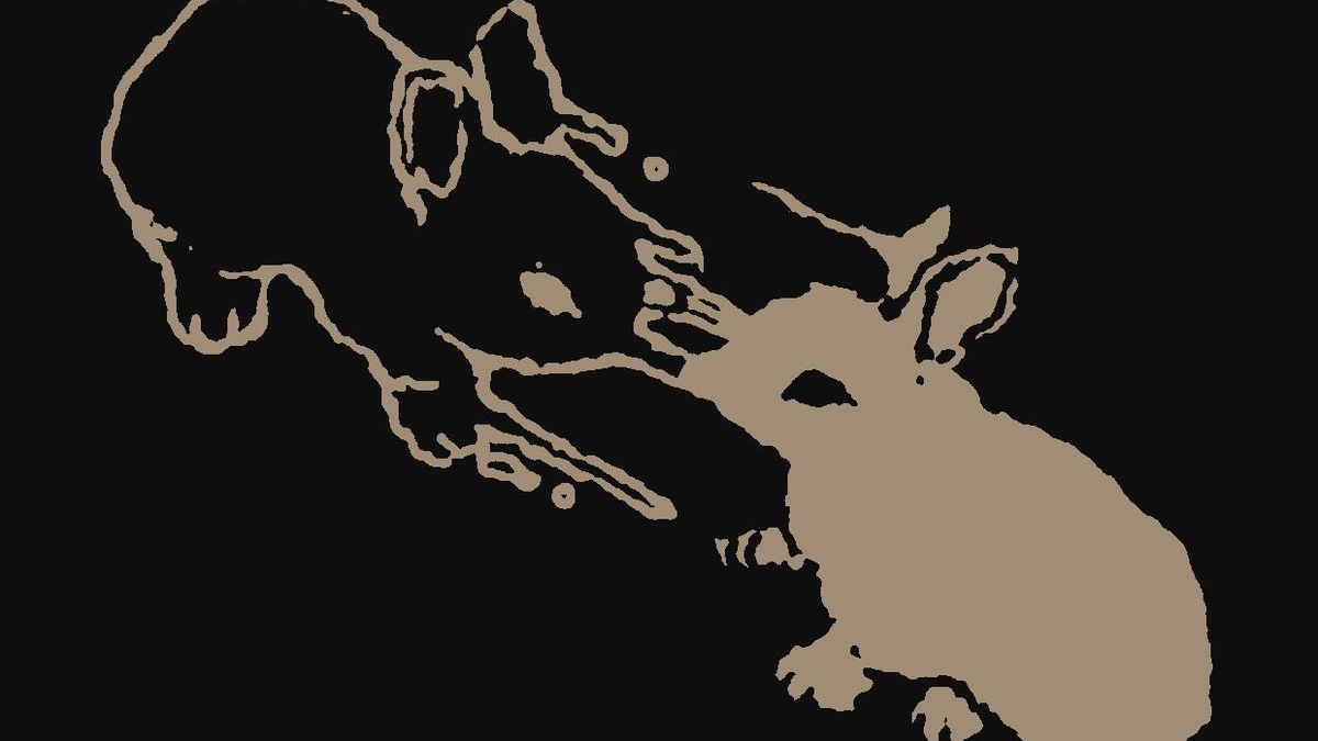 BUNNY'S BURROWのバナー