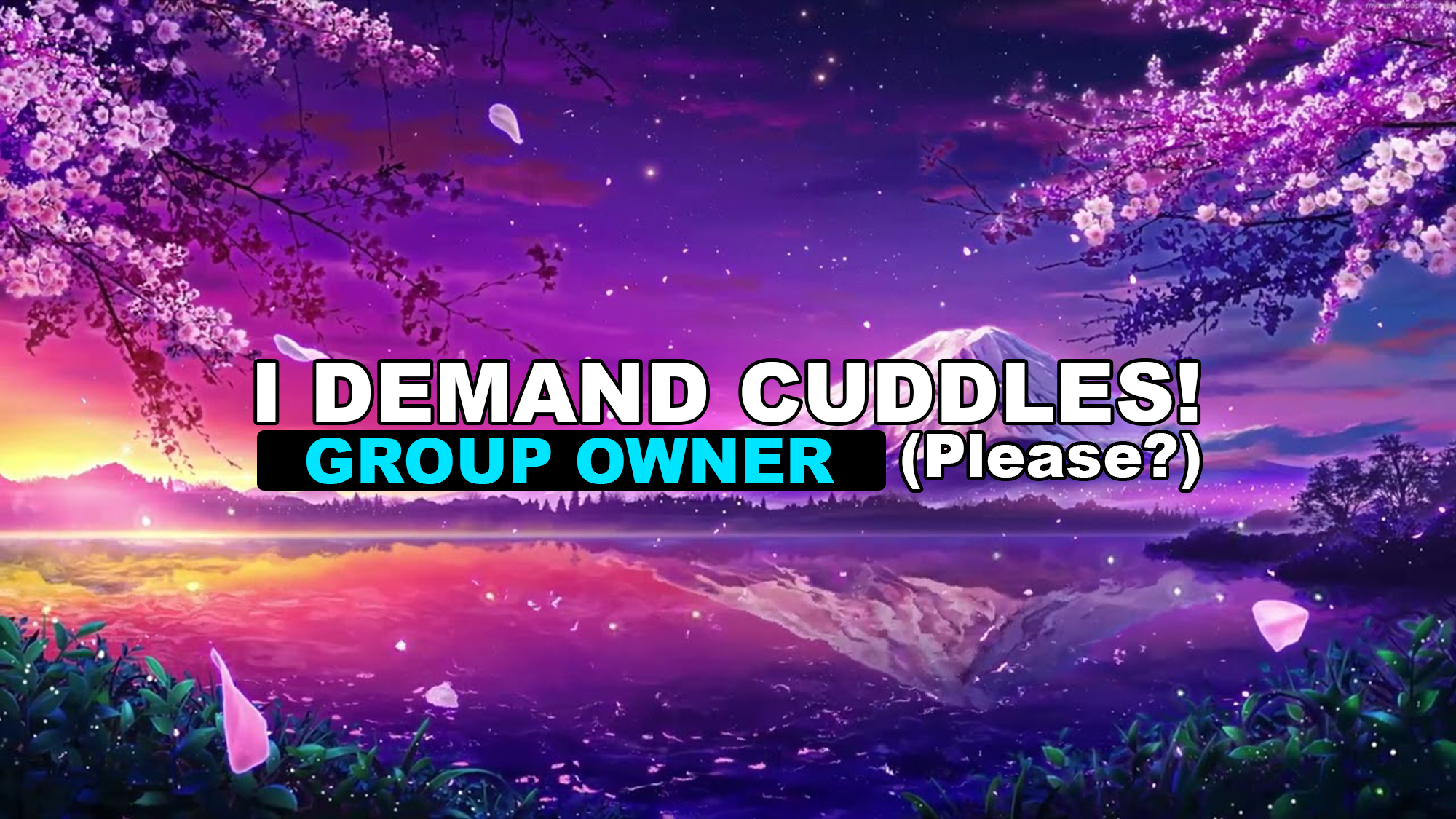 Give Cuddles Owner