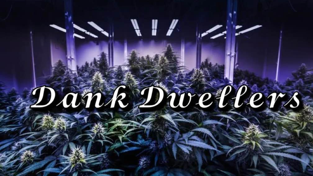 Dank Dwellersのバナー