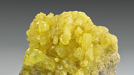 Verified Sulfur Enjoyers