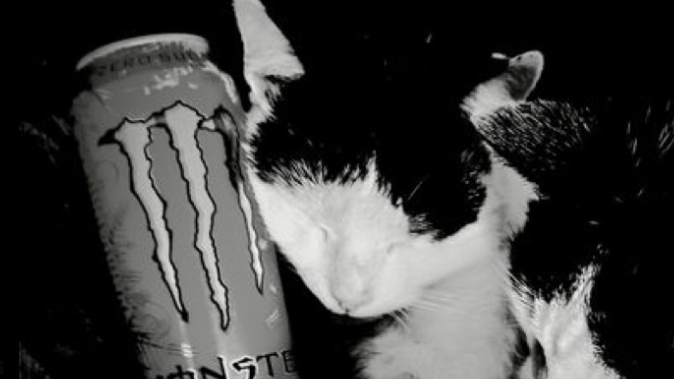 -KAT-のバナー