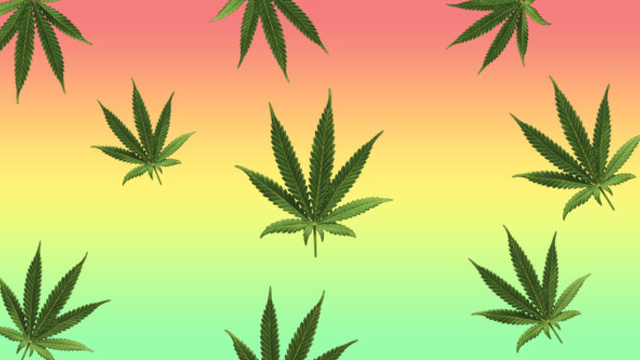 where my weed at?