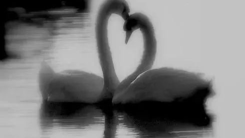 I love youのバナー