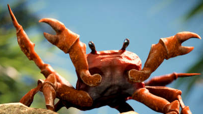 Crab?のバナー