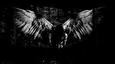 The Fallen Angelsのバナー