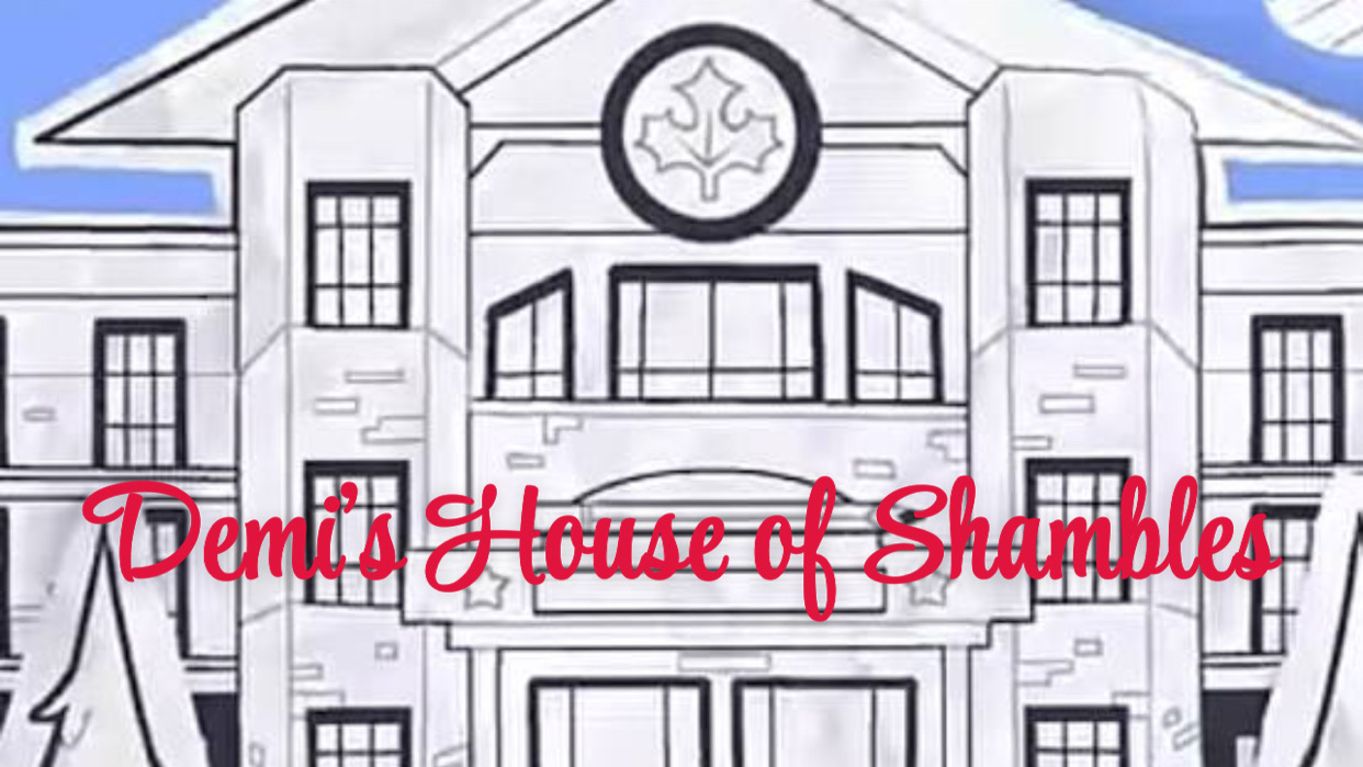 Demi's house of shambles