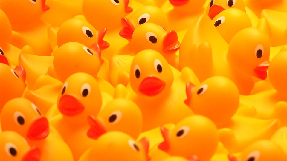 The Ducklings
