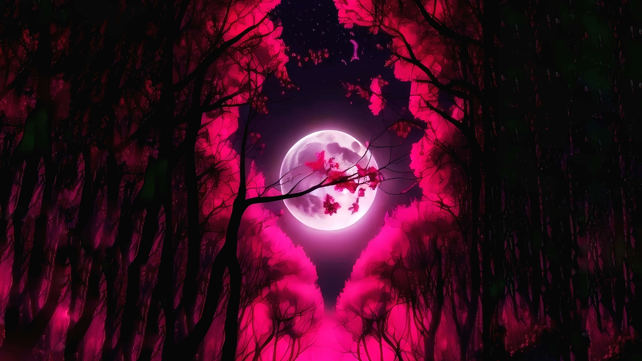 月夜天眞心