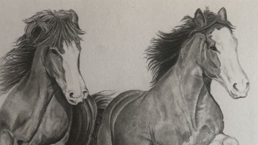 shire horse societyのバナー