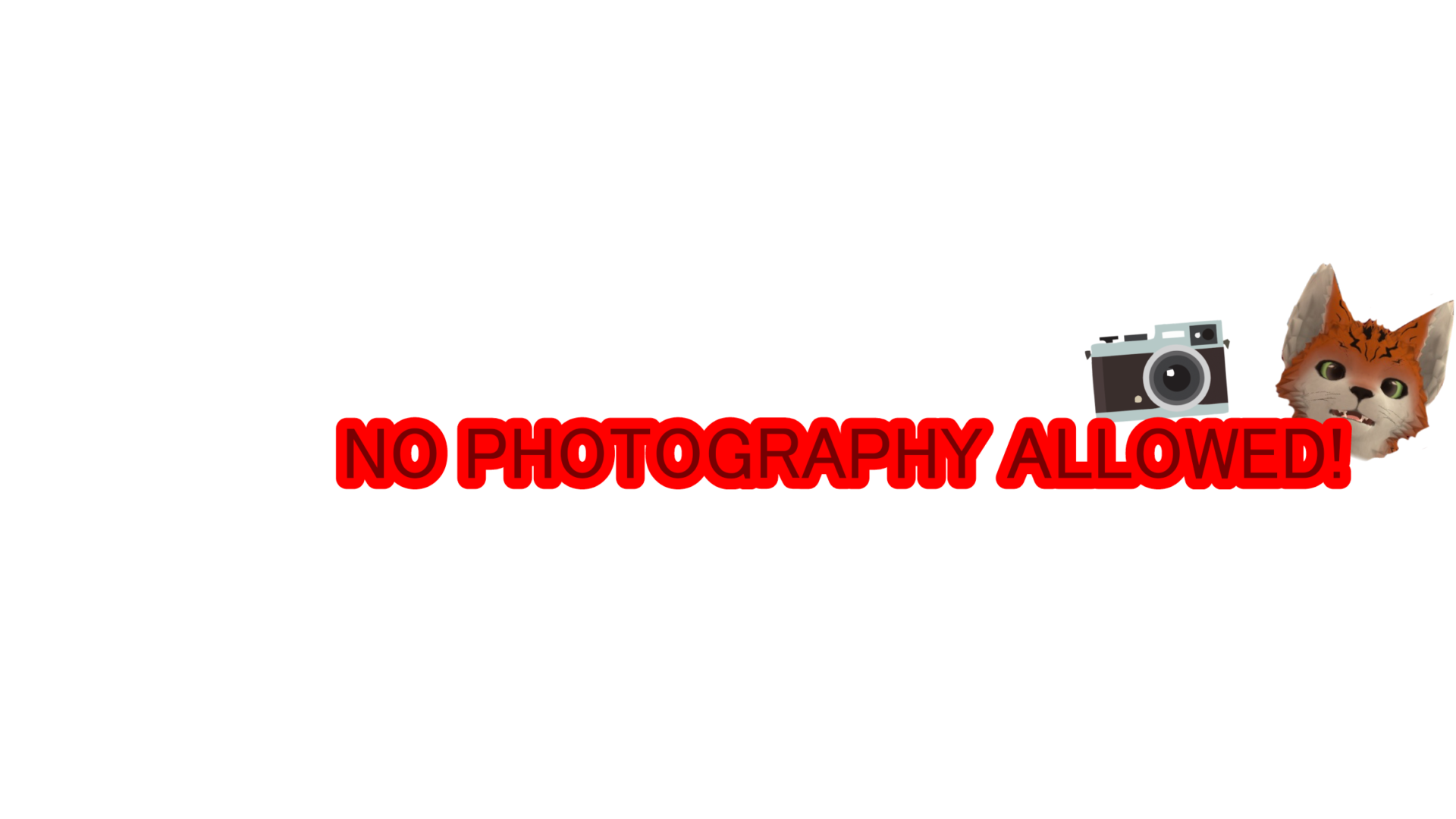 Anti EugenBismarck Photographyのバナー