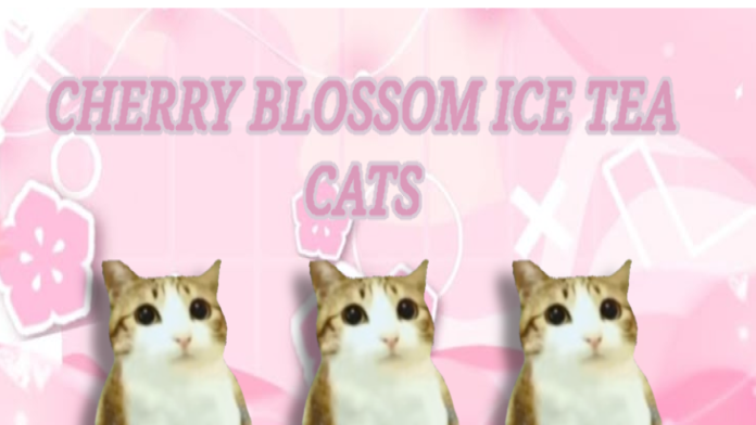 Cherry blossom ice tea catsのバナー