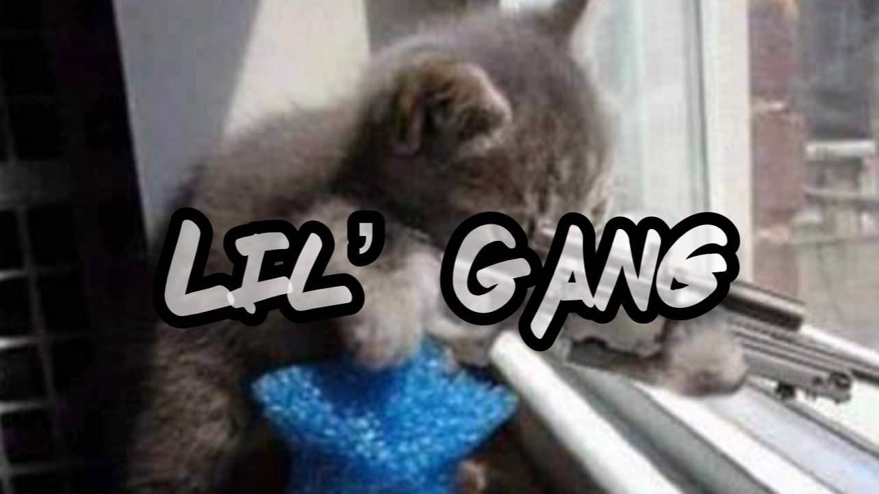 LIL' GANG