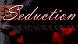 The Seduction Staffのバナー