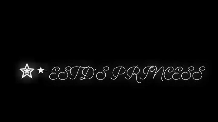 Estds princessのバナー